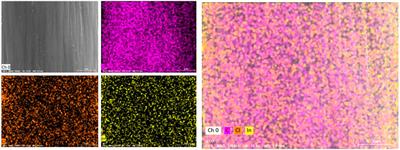 Preparation and Properties of Indium Ion Modified Graphite Felt Composite Electrode